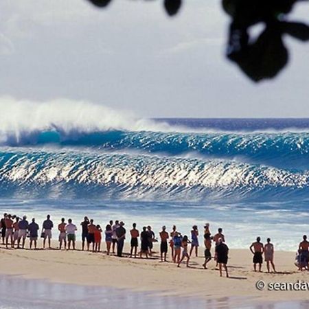 Pristine Location In Turtle Bay Near Beach Villa Kahuku Esterno foto