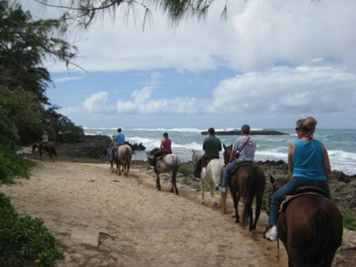 Pristine Location In Turtle Bay Near Beach Villa Kahuku Esterno foto